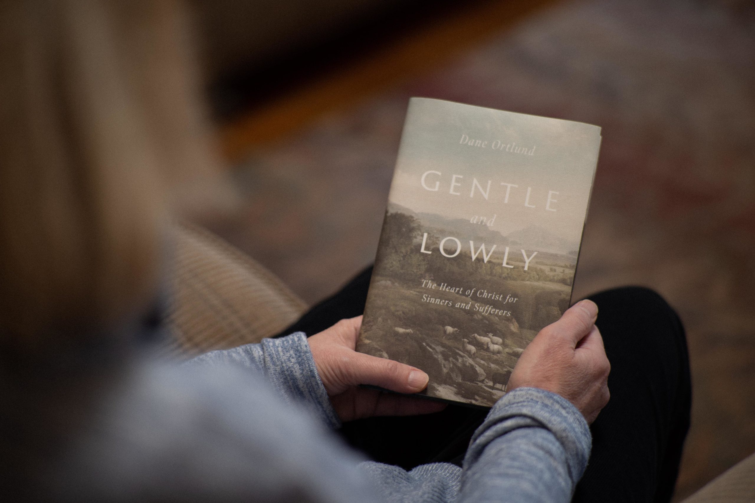 Gentle and Lowly: The Heart of Christ for Sinners and Sufferers 2 Gentle and Lowly Dane Ortland