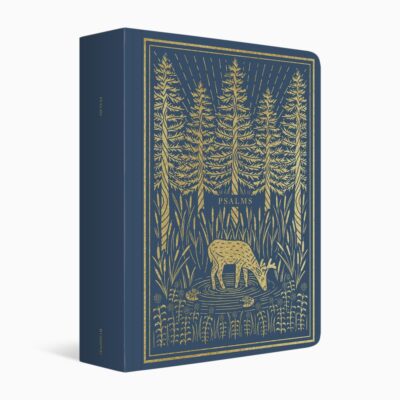 ESV Psalms Illuminated Scripture Journal bible