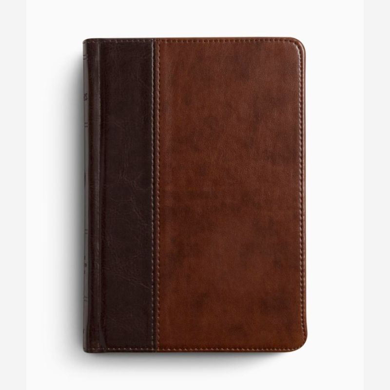 ESV Psalms 1 esv psalms