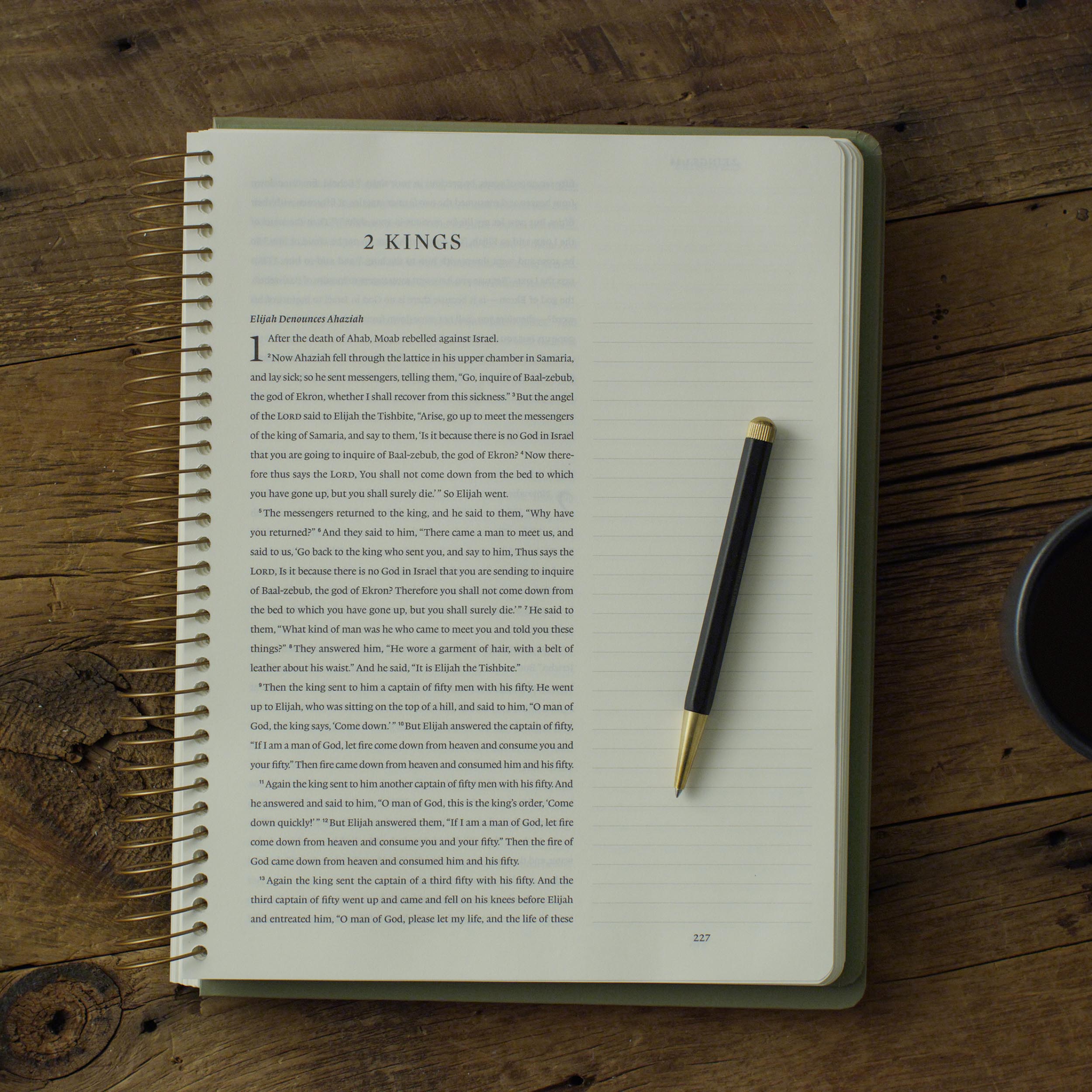 ESV Spiral-Bound Journaling Bible, History 4 ESV Spiral-Bound Journaling Bible, History - Image 4