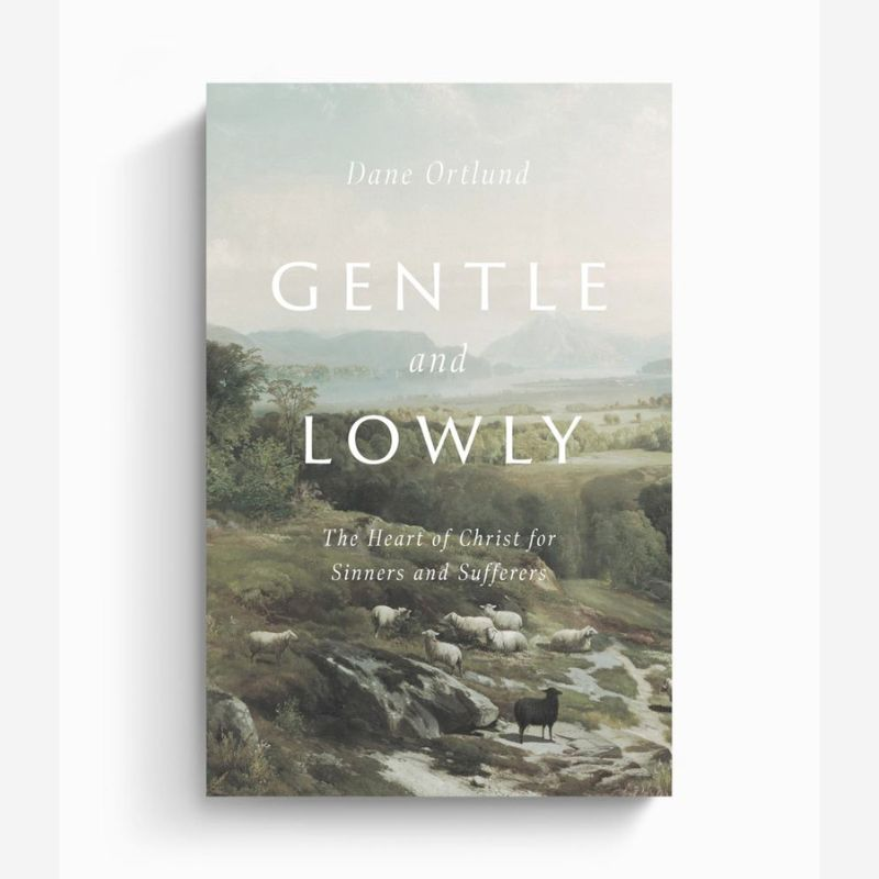 Gentle and Lowly: The Heart of Christ for Sinners and Sufferers 1 Gentle And Lowly Heart of Christ book