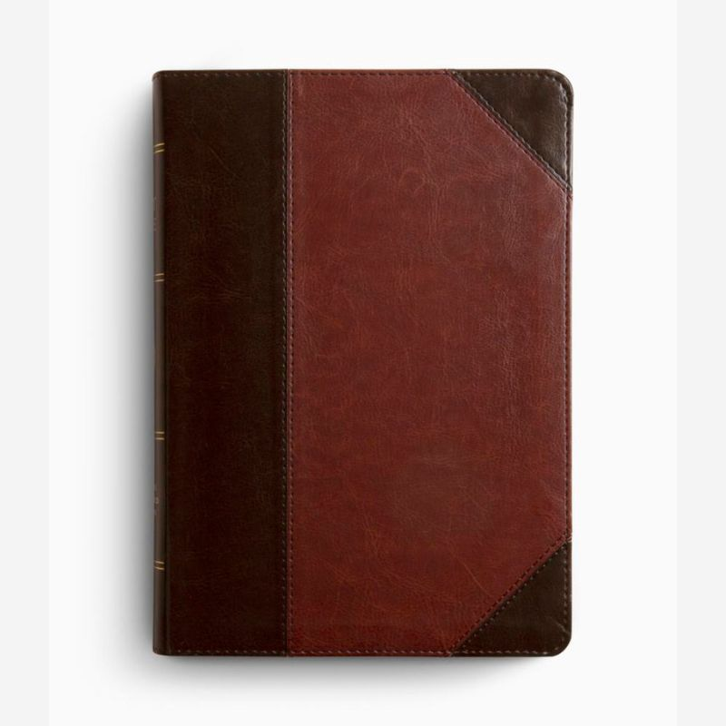 ESV Large Print Wide Margin Bible 1 cw psalms