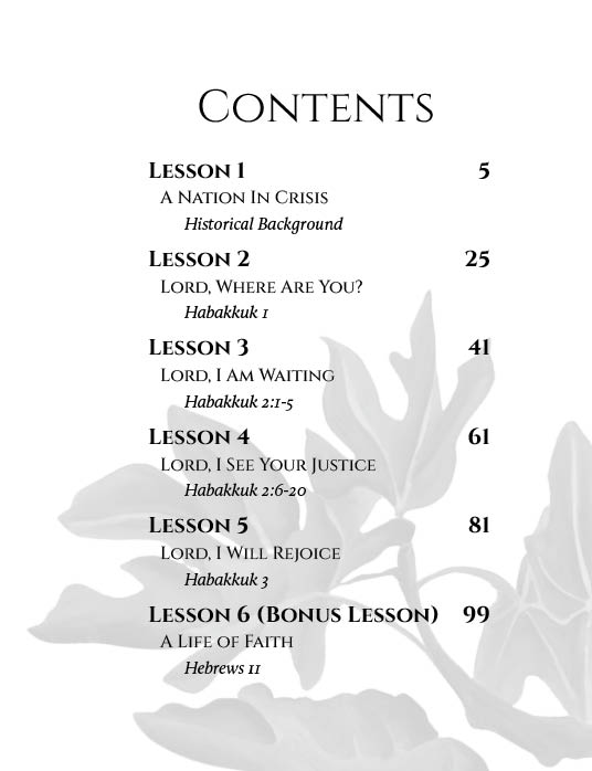 Yet I Will Rejoice: An Inductive Bible Study of Habakkuk 3 yet i will rejoice (habakkuk)